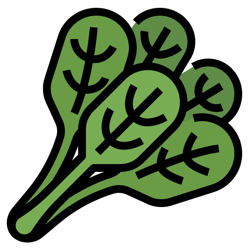 Benefits Of Moringa(የሞሪንጋ ጥቅሞች)
